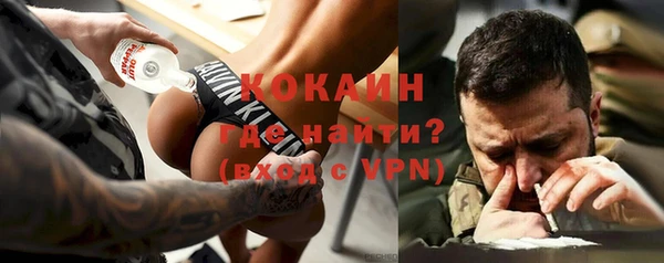 шишки Лагань