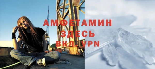 шишки Лагань