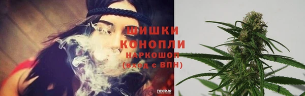 шишки Лагань