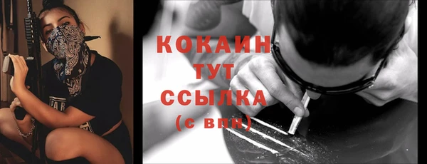 шишки Лагань