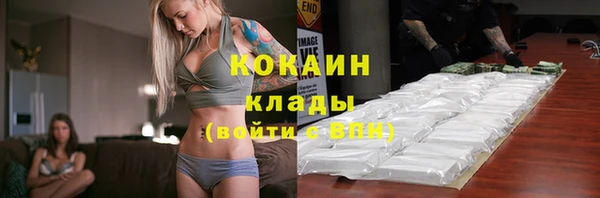 Альфа ПВП Ладушкин