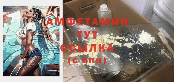 шишки Лагань