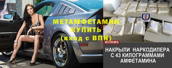 шишки Лагань