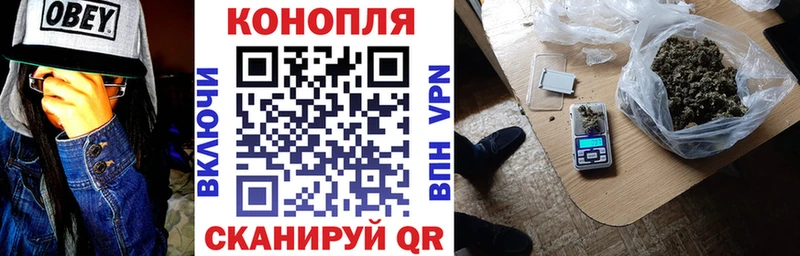 Бошки марихуана гибрид  KRAKEN онион  Юрьев-Польский 